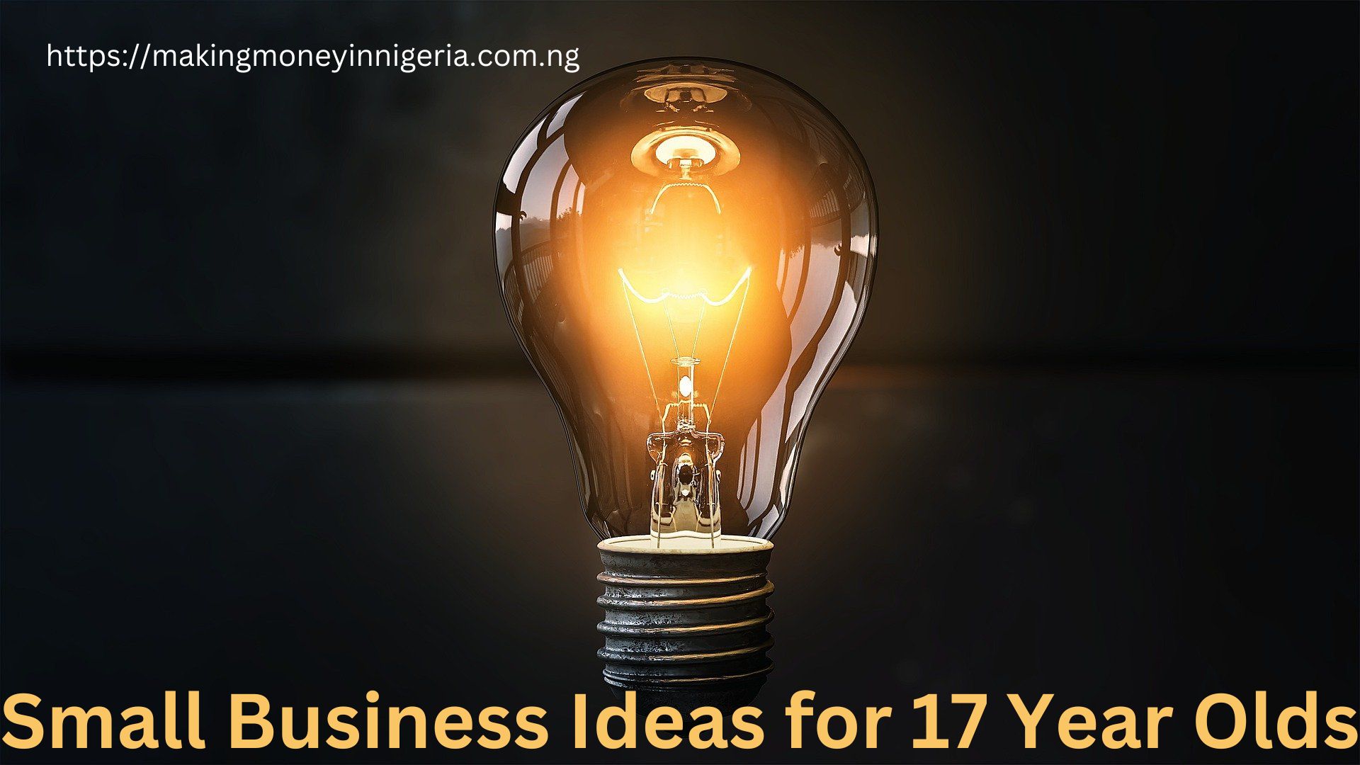 Small Business Ideas for 17 Year Olds